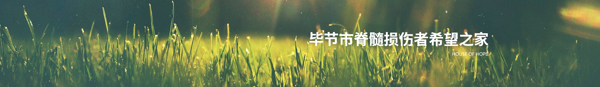 政策法规