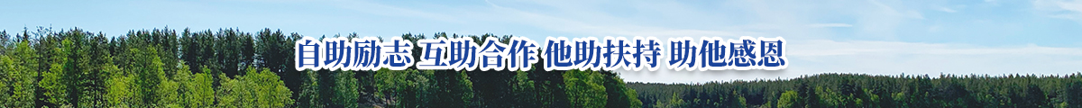 默认图片